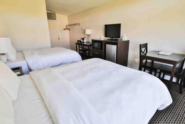 לודינגטון Nader'S Motel & Suites מראה חיצוני תמונה